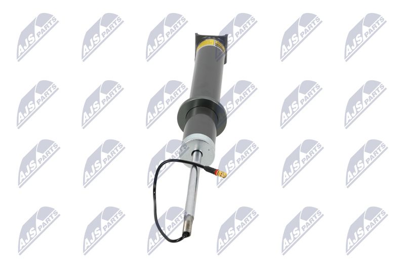 Amort, NTY A-PS-013