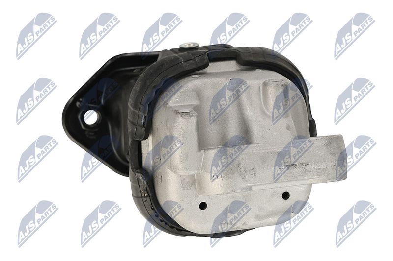 Paigutus, Mootor, NTY ZPS-CH-116