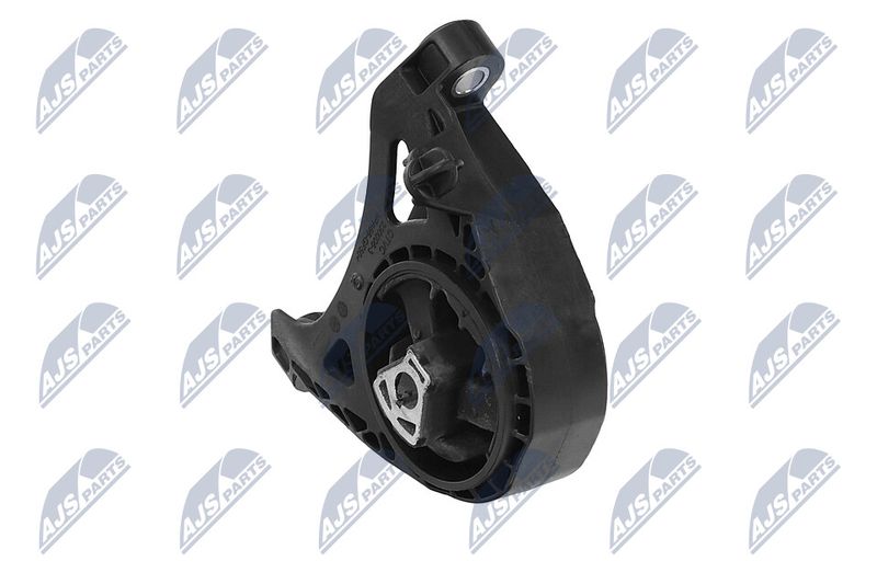Paigutus, Mootor, NTY ZPS-PL-011