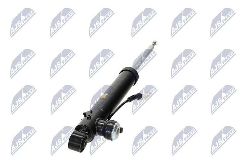 Amort, NTY A-PL-065