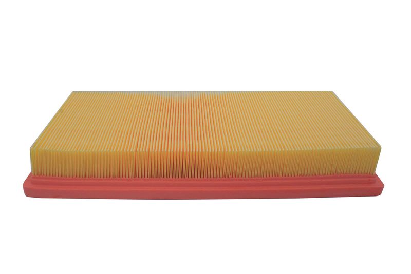AUTOMEGA 180023910 Air Filter