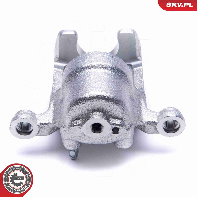ESEN SKV 55SKV484 Brake Caliper