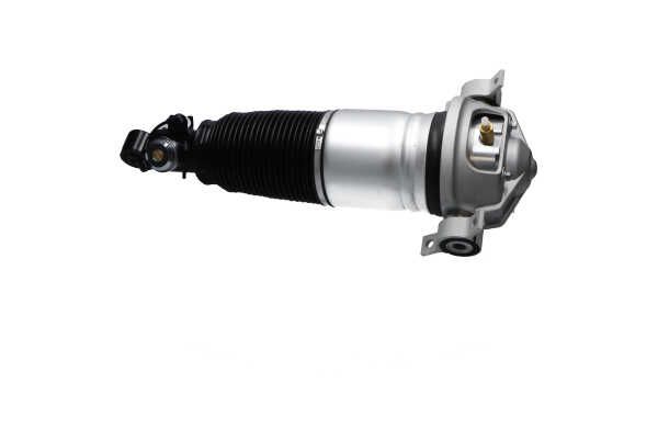 Kavo Parts SAS-10047 Air Suspension Strut