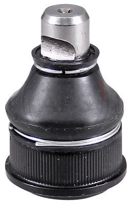 220033.JPG