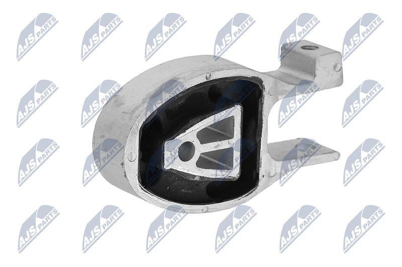 Paigutus, Mootor, NTY ZPS-FR-010