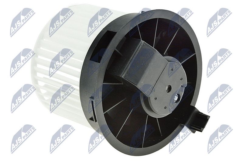 Salongipuhur, NTY EWN-NS-005