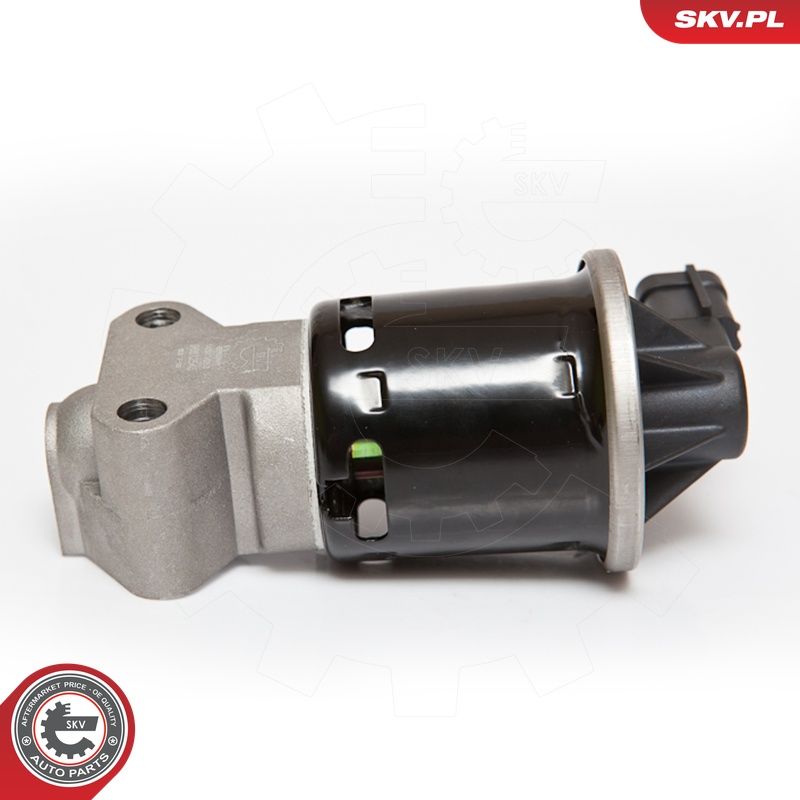 EGR-klapp, ESEN SKV 14SKV053