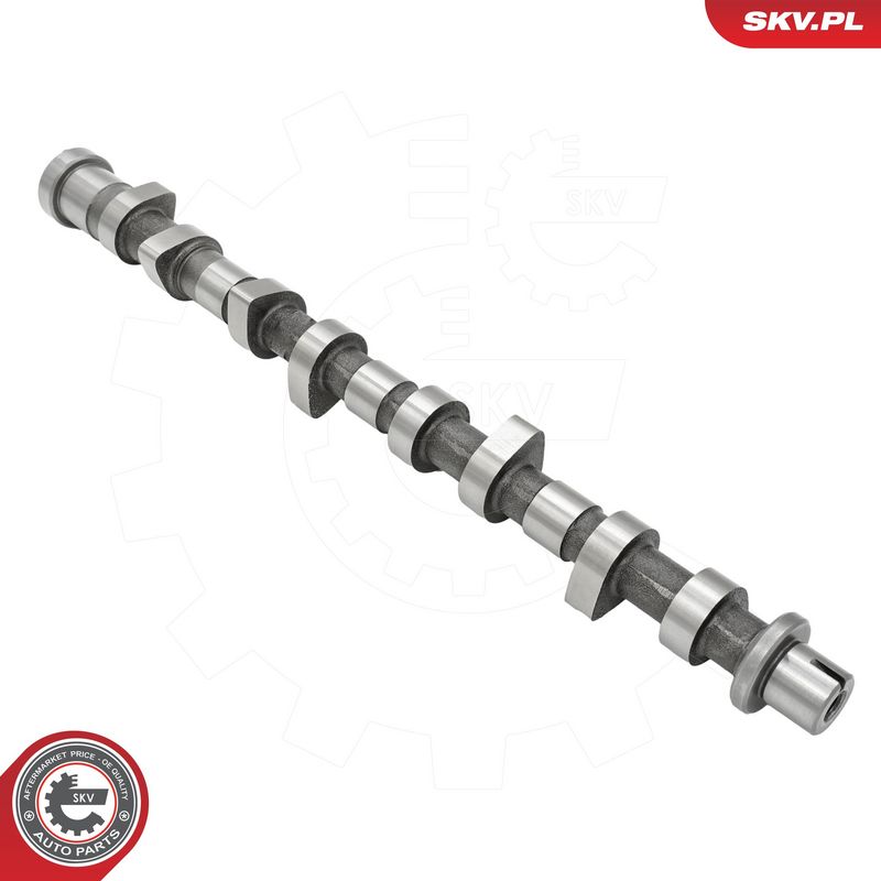 Nukkvõll, ESEN SKV 80SKV016