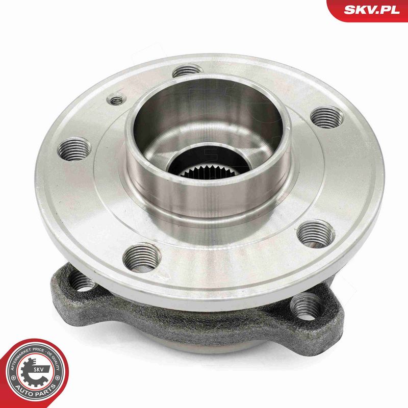 ESEN SKV 29SKV306 Wheel Bearing Kit