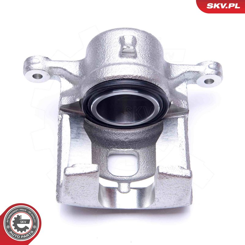 Pidurisadul, ESEN SKV 42SKV491