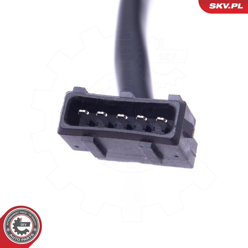 Pesuri mootor, ESEN SKV 19SKV123