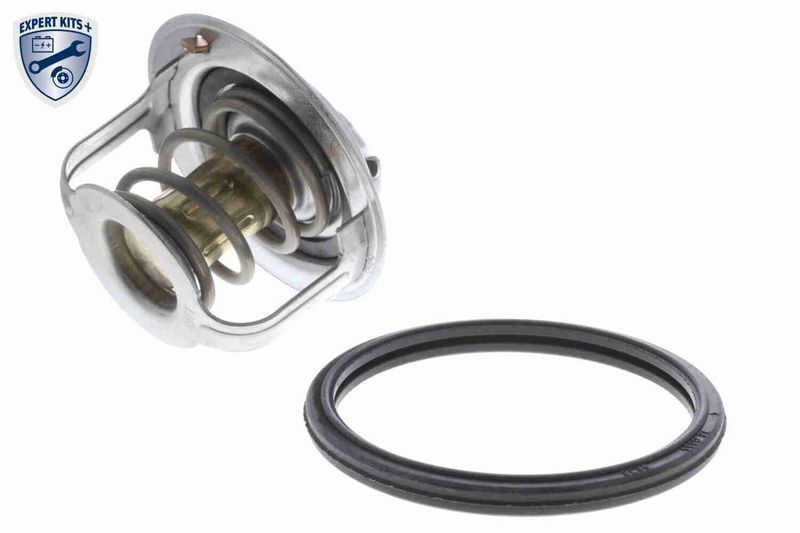 ACKOJA A64-99-0009 - Termostatas