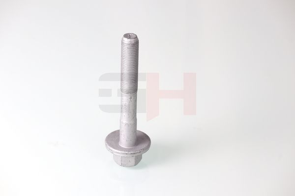 GH GH-399901 Camber Correction Screw