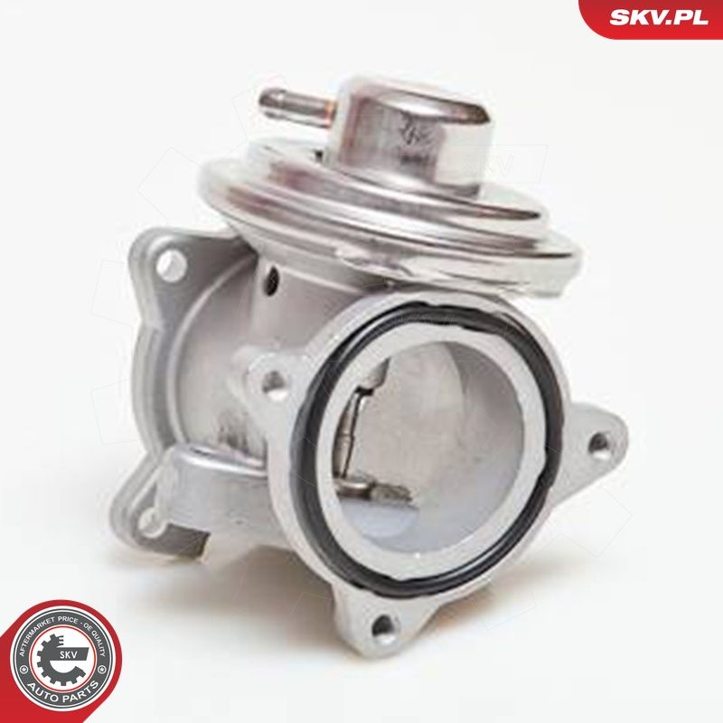 EGR-klapp, ESEN SKV 14SKV034