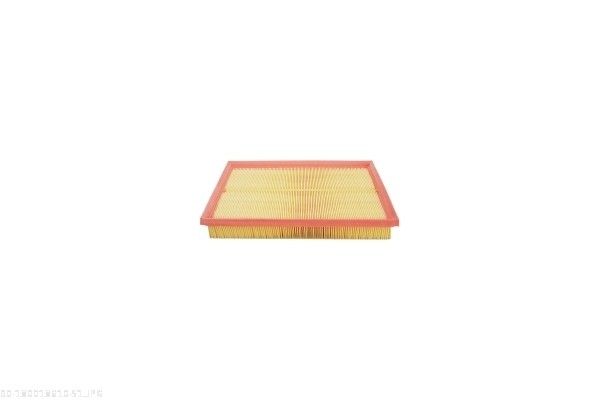 AUTOMEGA 180018610 Air Filter