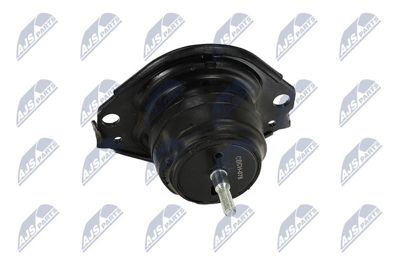 Paigutus, Mootor, NTY ZPS-CH-076