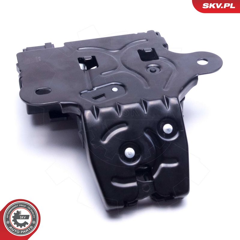 Tagaluugi sulgur, ESEN SKV 16SKV359