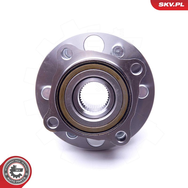 Rattalaagrikomplekt, ESEN SKV 29SKV319