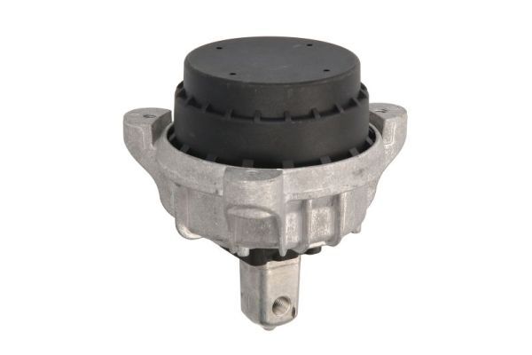 REINHOCH RH11-3047 Mounting, engine