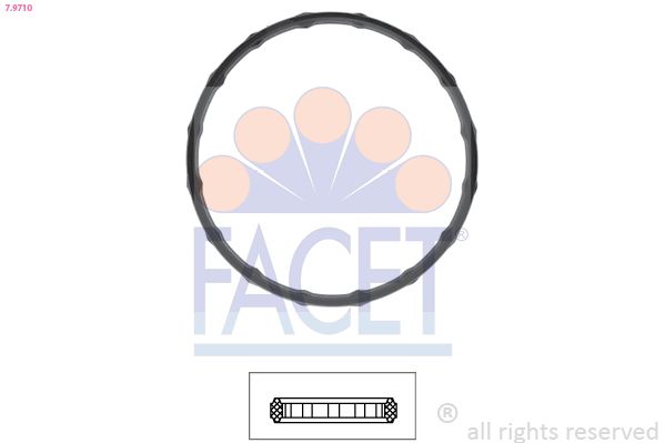 7.9710-FA.JPG