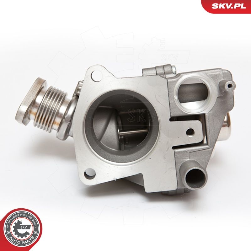 EGR-klapp, ESEN SKV 14SKV063