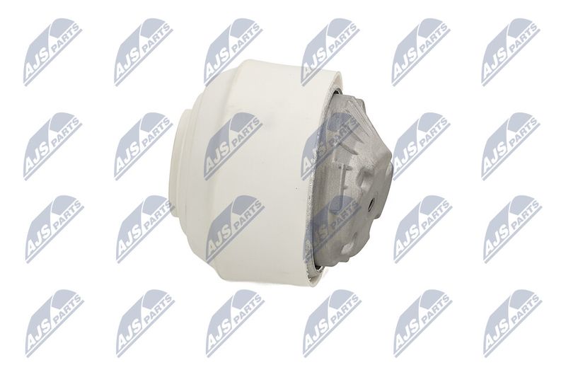 Paigutus, Mootor, NTY ZPS-ME-109