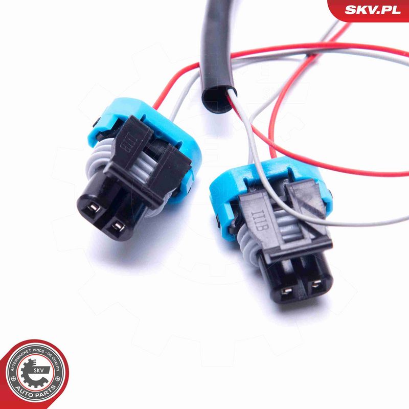 ESEN SKV 16SKV275 Switch, tailgate release