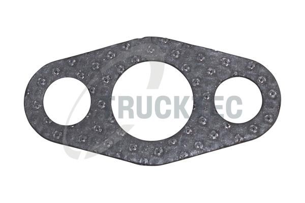 TRUCKTEC AUTOMOTIVE 03.14.047 - Turbinos tepalo išleidimo tarpinė
