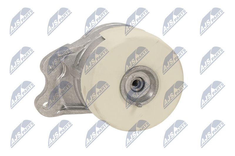 Paigutus, Mootor, NTY ZPS-ME-079