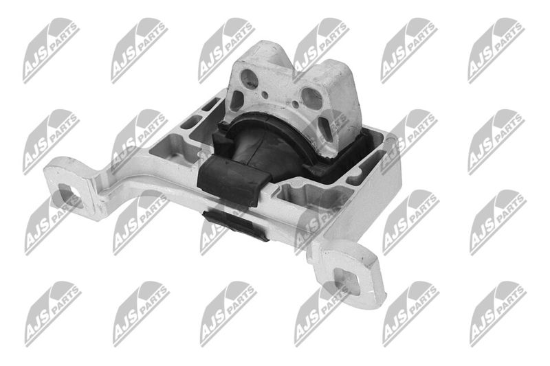 Paigutus, Mootor, NTY ZPS-FR-045