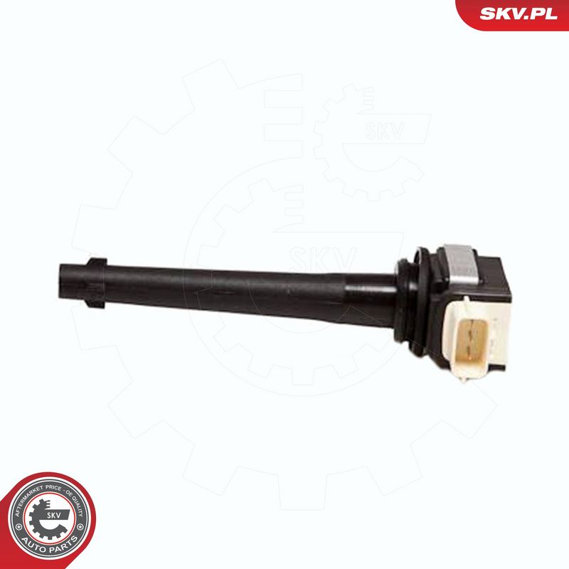 ESEN SKV 03SKV172 Ignition Coil