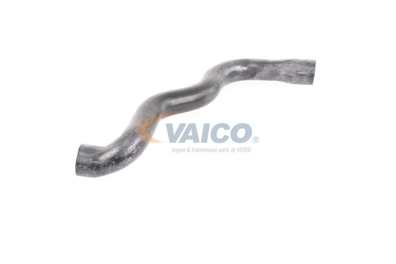 VAICO V30-2915 Radiator Hose
