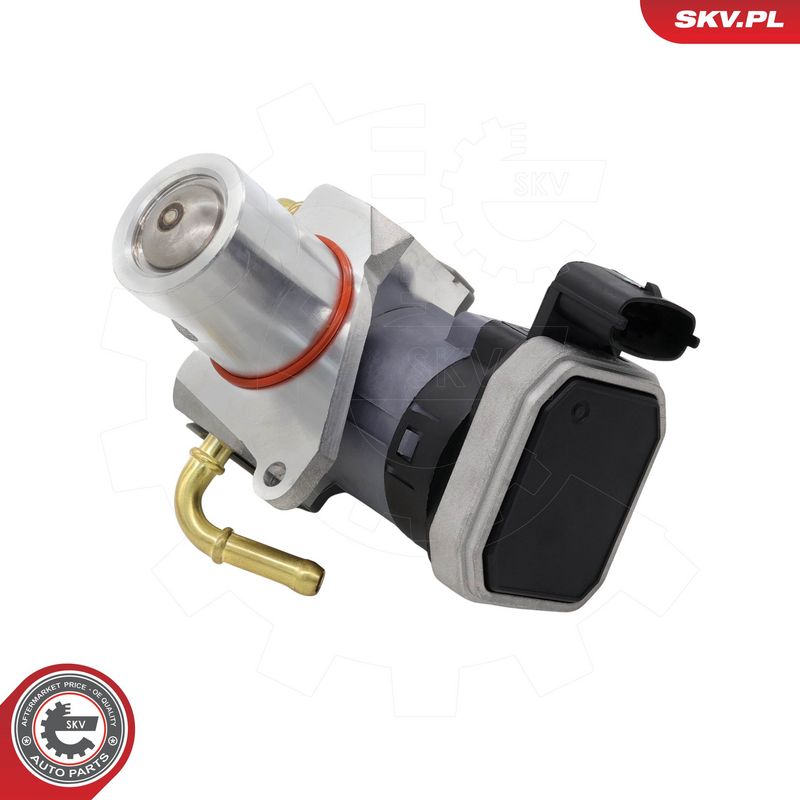 EGR-klapp, ESEN SKV 14SKV303