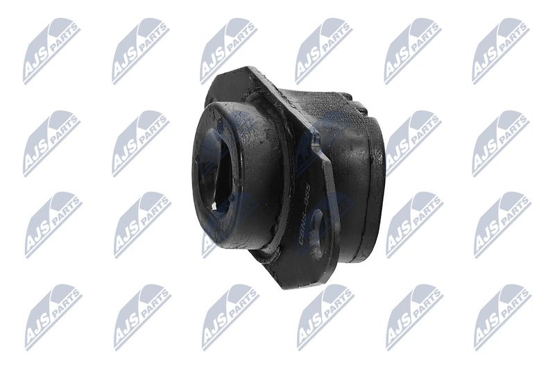 Paigutus, Mootor, NTY ZPS-NS-080