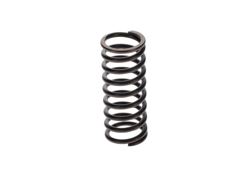 BOSCH 2414617001 Spring