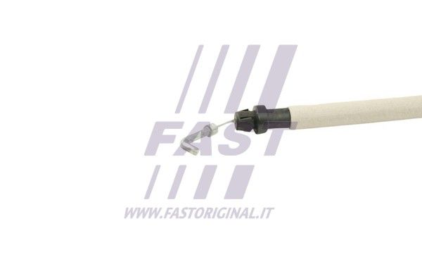 FT95013_4_1.JPG