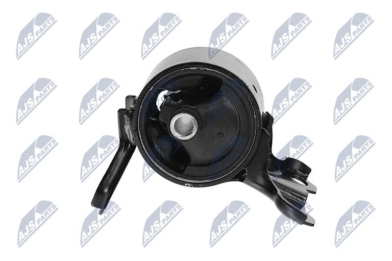 Paigutus, Mootor, NTY ZPS-CH-179