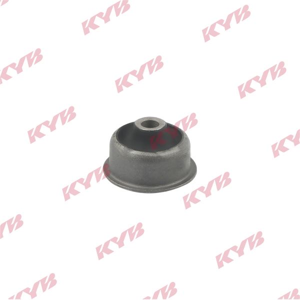 KYB-KCM1162.JPG
