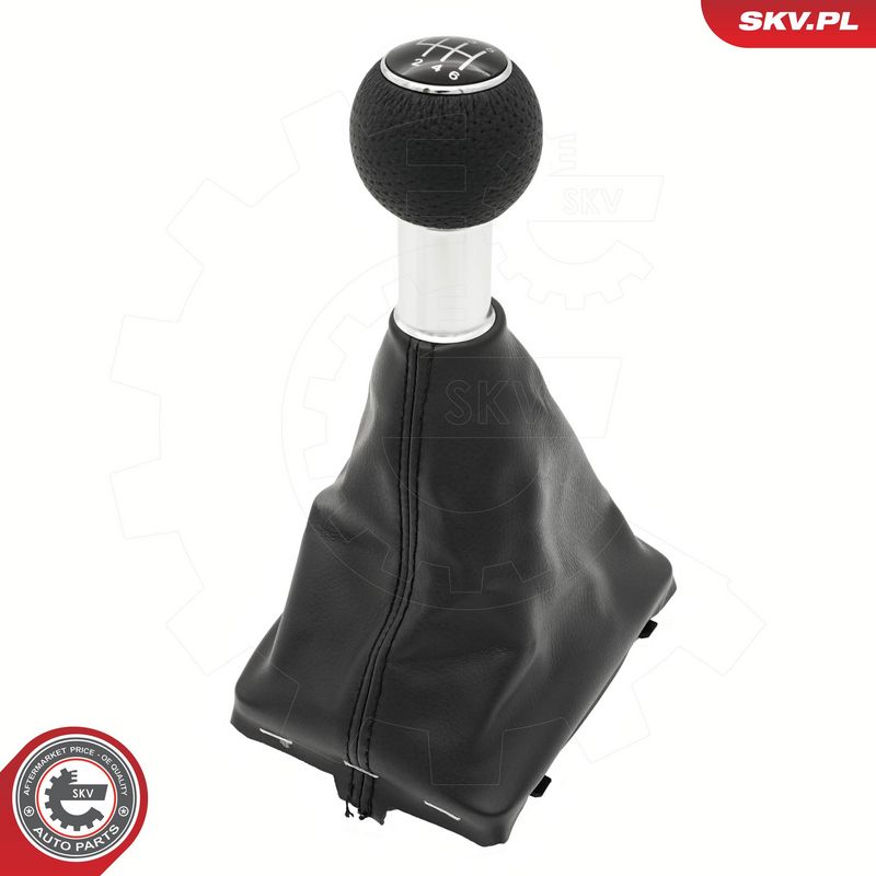 Käigukanginupp, ESEN SKV...