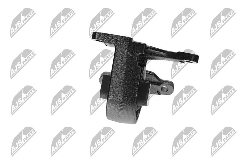 Paigutus, Mootor, NTY ZPS-CH-087