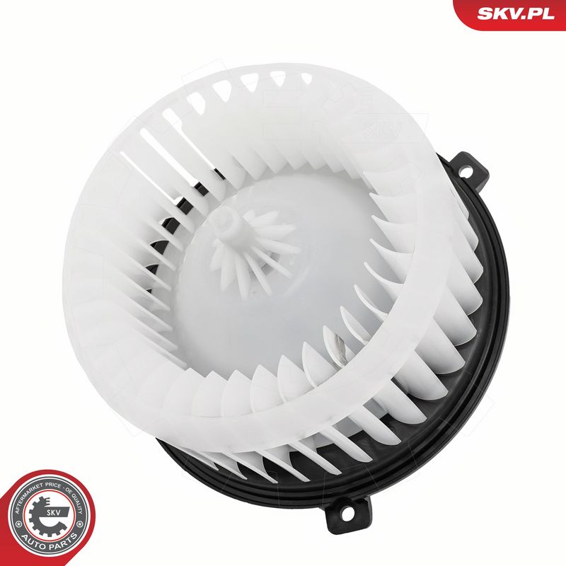 Salongipuhur, ESEN SKV...