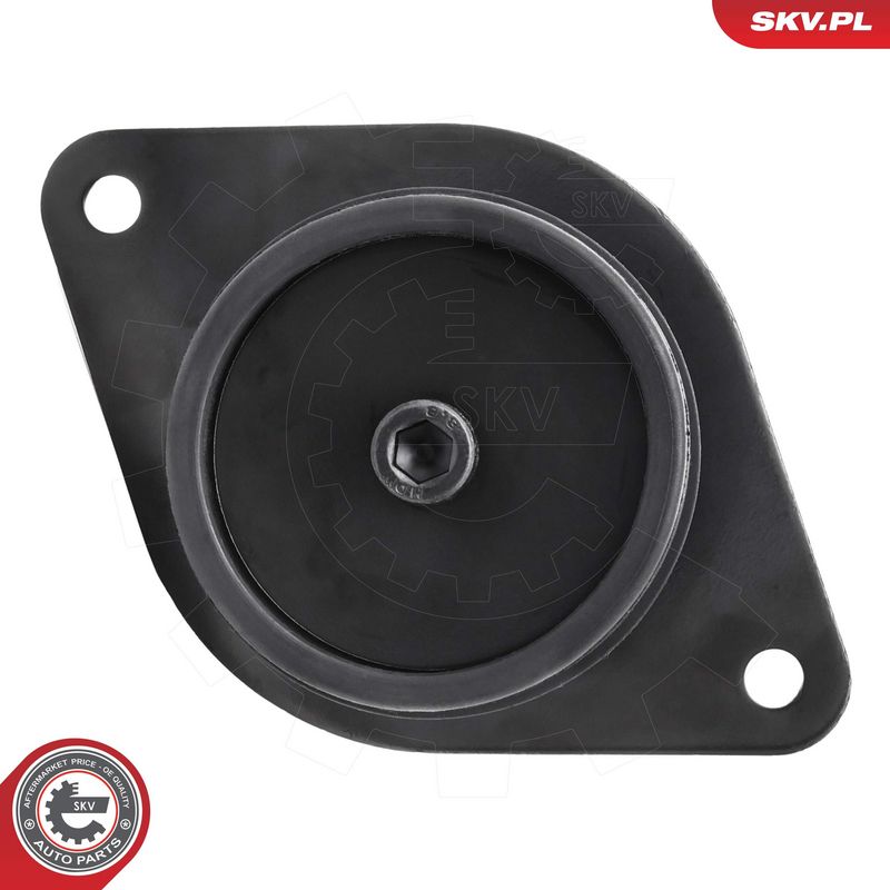 Paigutus, Mootor, ESEN SKV 75SKV010