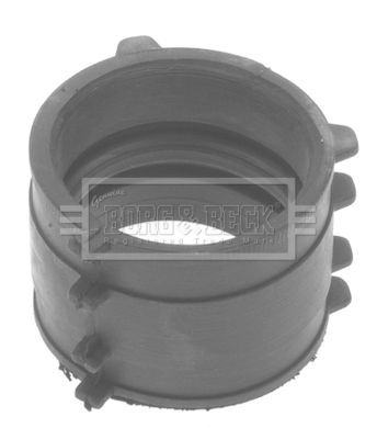 BTH1123_222276.JPG