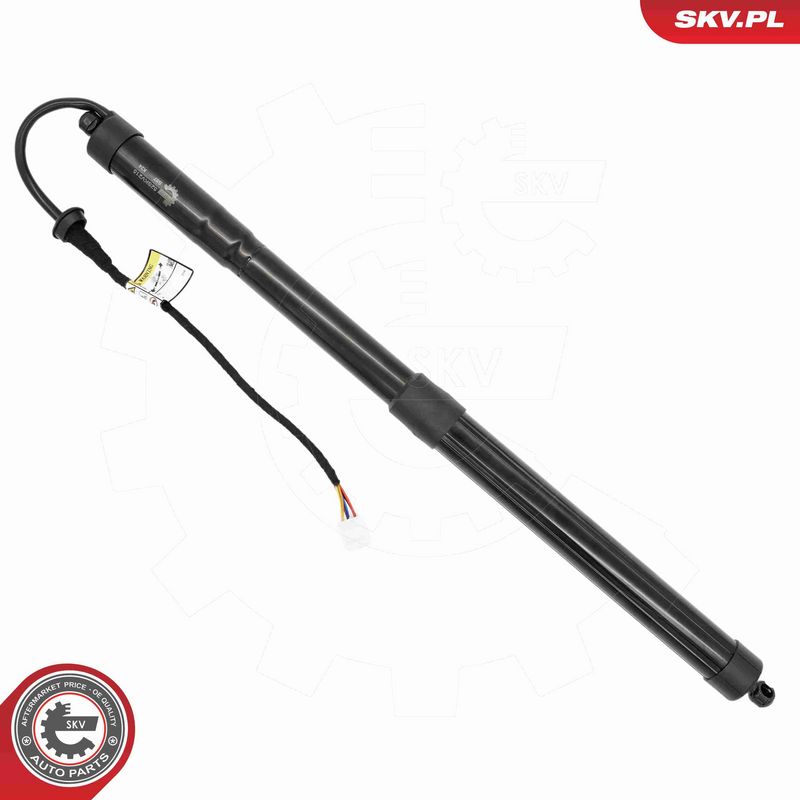 ESEN SKV 52SKV215 Electric Motor, tailgate