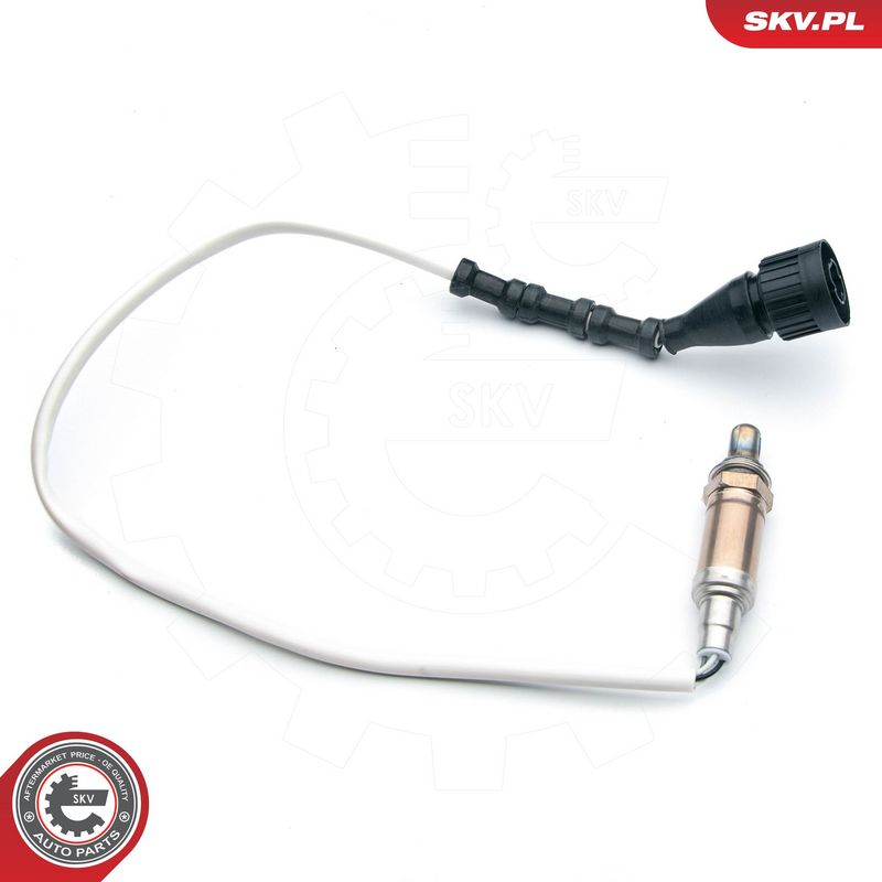 Lambda andur, ESEN SKV 09SKV604