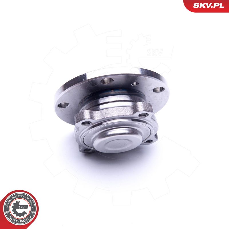 Rattalaagrikomplekt, ESEN SKV 29SKV250