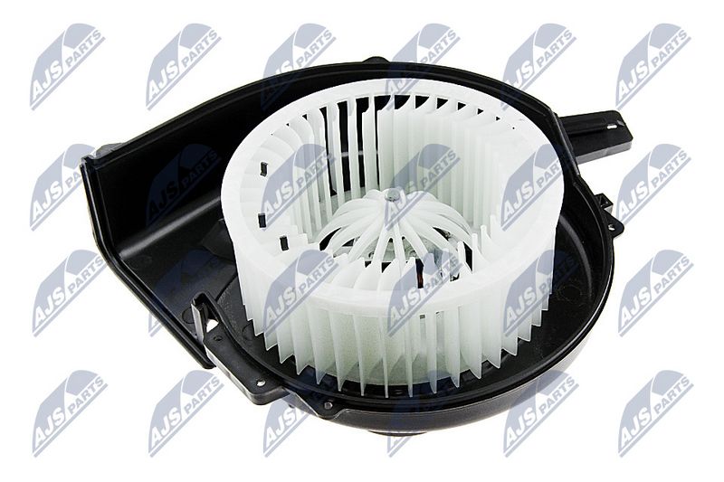 ewn-vw-005_1-wm.JPG