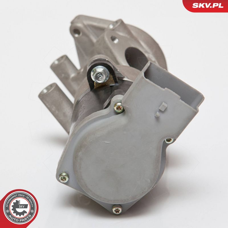 ESEN SKV 14SKV072 EGR Valve