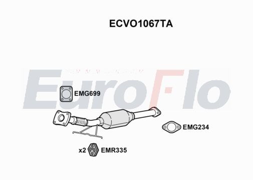 ecvo1067ta.JPG