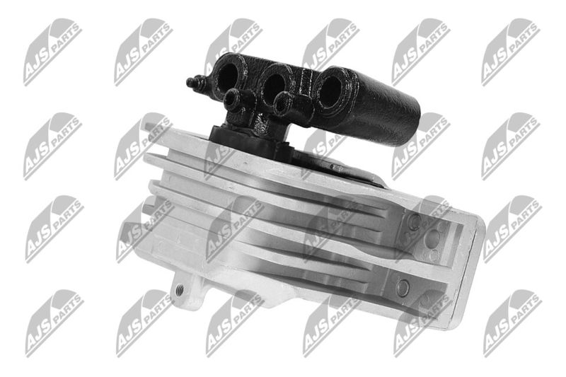 Paigutus, Mootor, NTY ZPS-CH-103